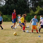 Learning Opportunities And The Available Sources In The Sports World